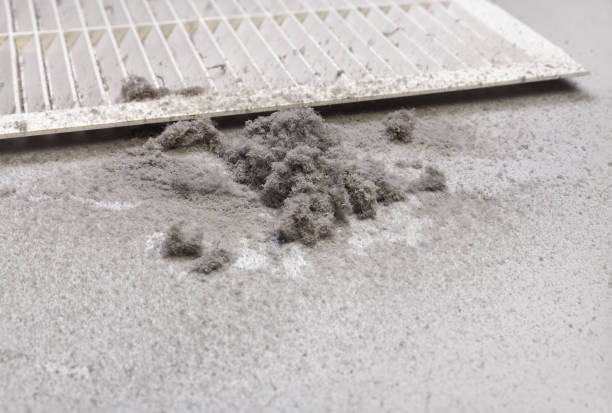  Lake Cassidy, WA Airduct Cleaning Pros